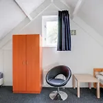 Holiday home 5 - Persoons Forest 10 *