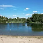 5 - Persoons Forest 10 *