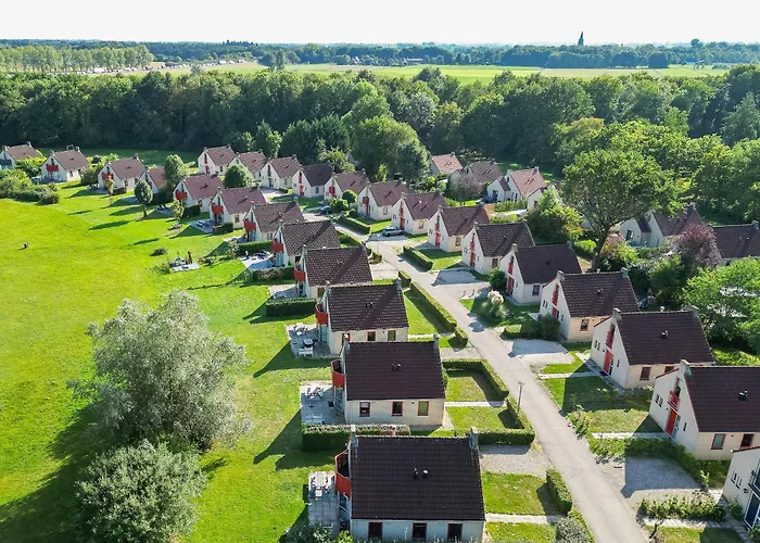 5 - Persoons Forest 10